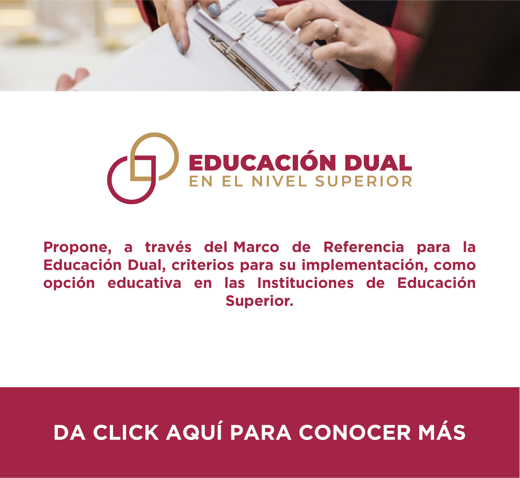 Enlace  educacion dual